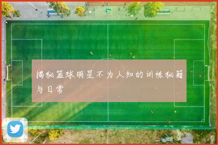 揭秘篮球明星不为人知的训练秘籍与日常