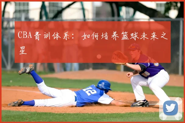 CBA青训体系:如何培养篮球未来之星