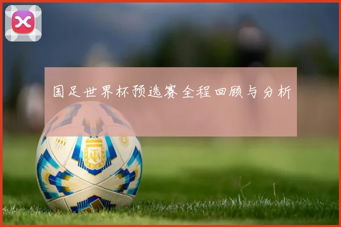 国足世界杯预选赛全程回顾与分析