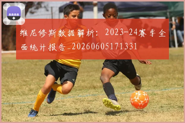 维尼修斯数据解析:2023-24赛季全面统计报告_20260605171331