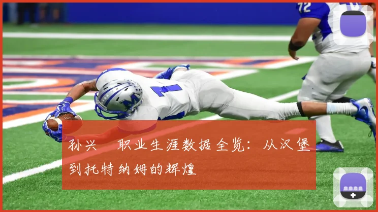 孙兴慜职业生涯数据全览:从汉堡到托特纳姆的辉煌